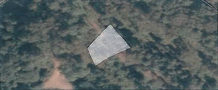 126551001-32