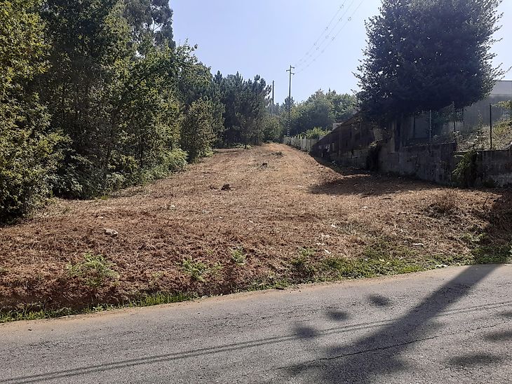 Terreno