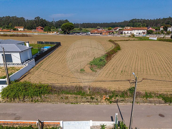 Terreno