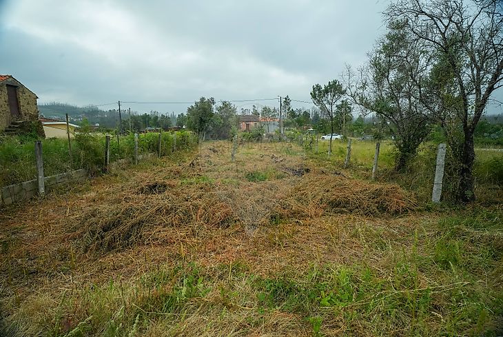 Terreno
