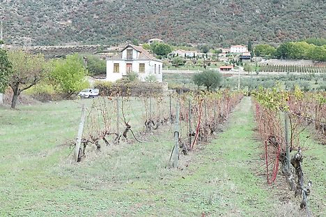 1 quintas para comprar em Horta da Vilariça RE/MAX