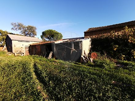 Anabela Gaspar - RE/MAX Ideias II | RE/MAX