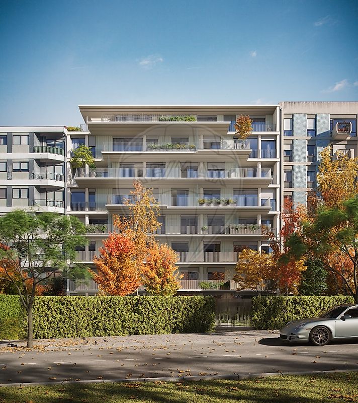 main-development-picture-0