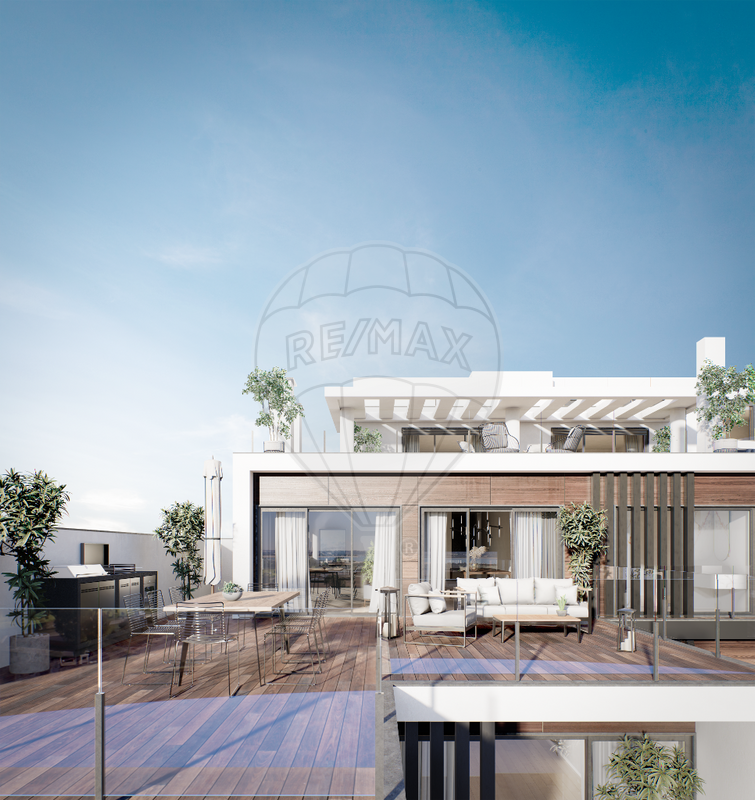main-development-picture-0