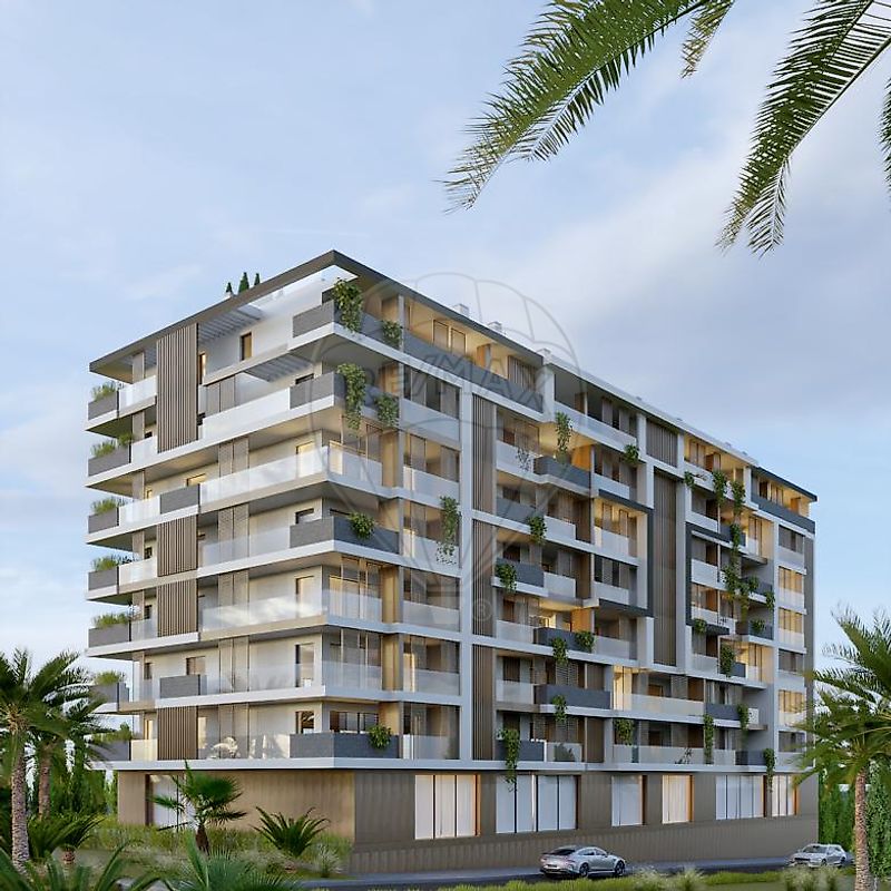 main-development-picture-0