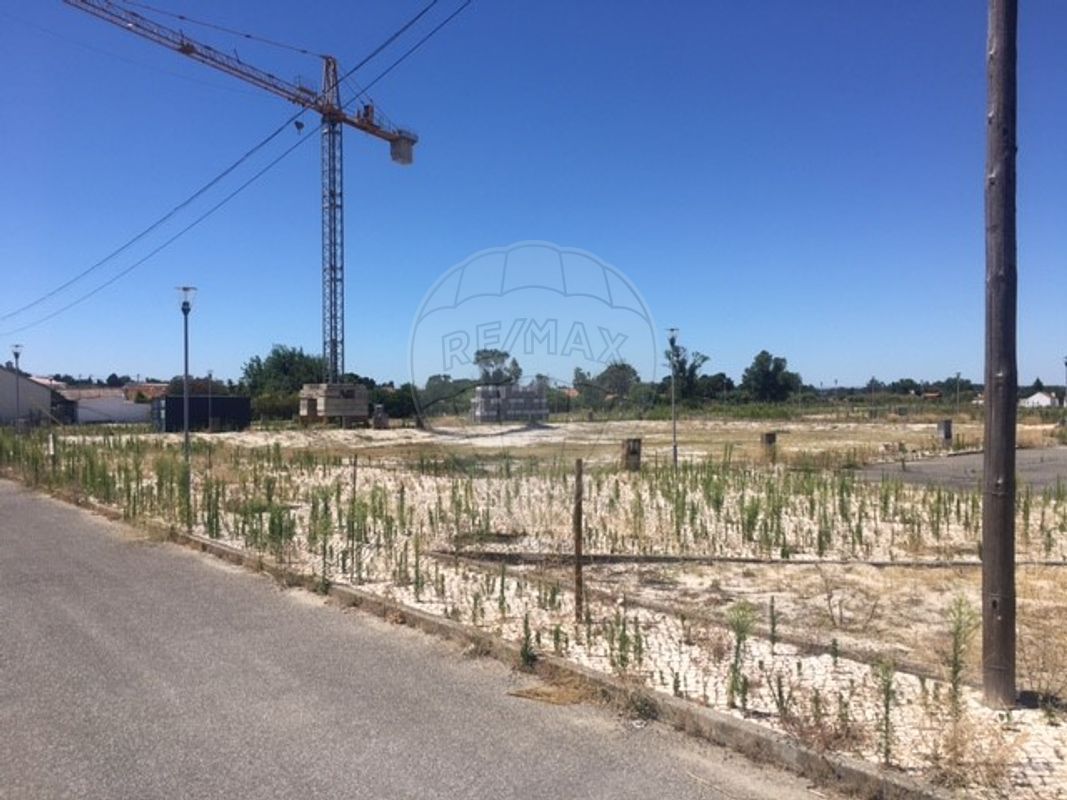 main-development-picture-0