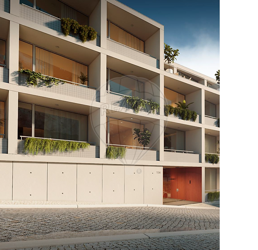 main-development-picture-0