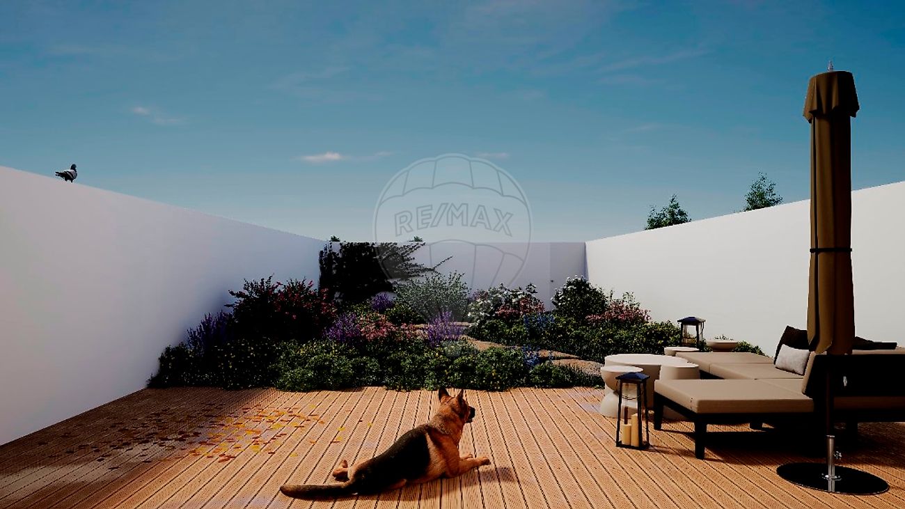 development-picture-0