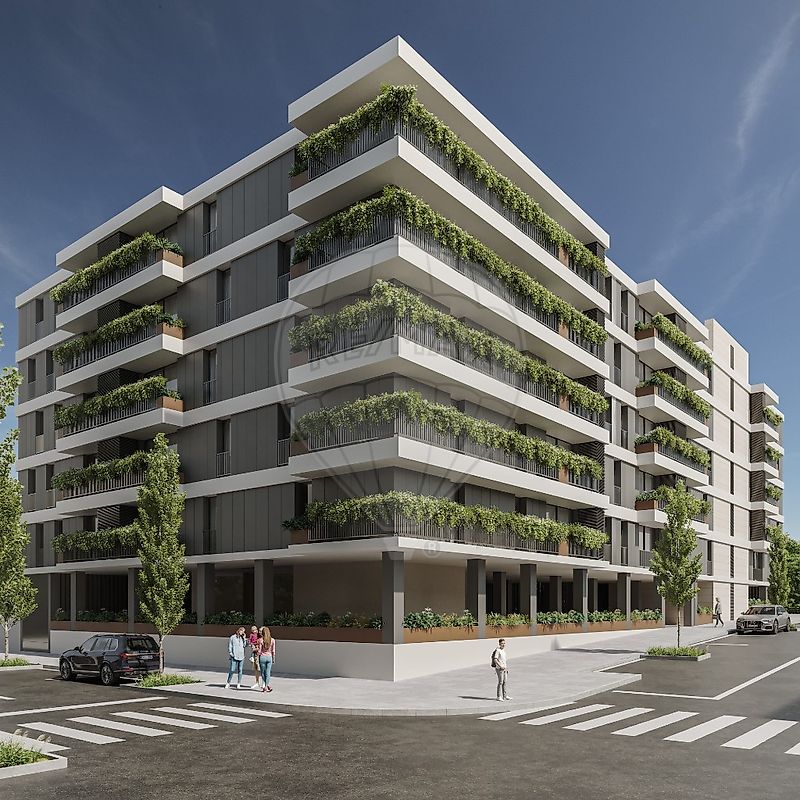 main-development-picture-0