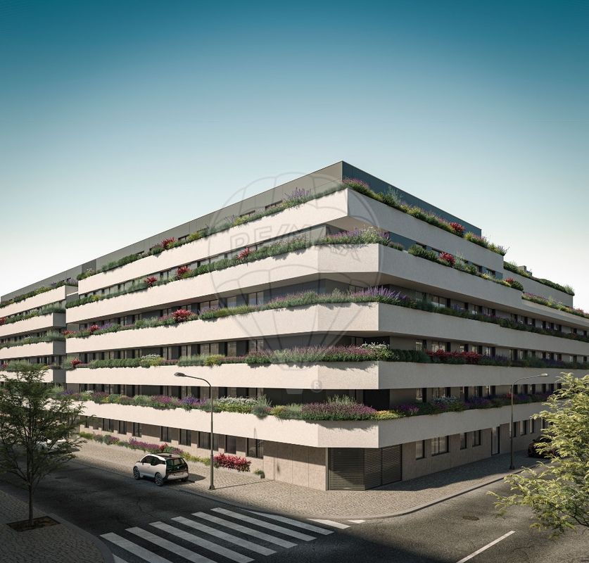 main-development-picture-0