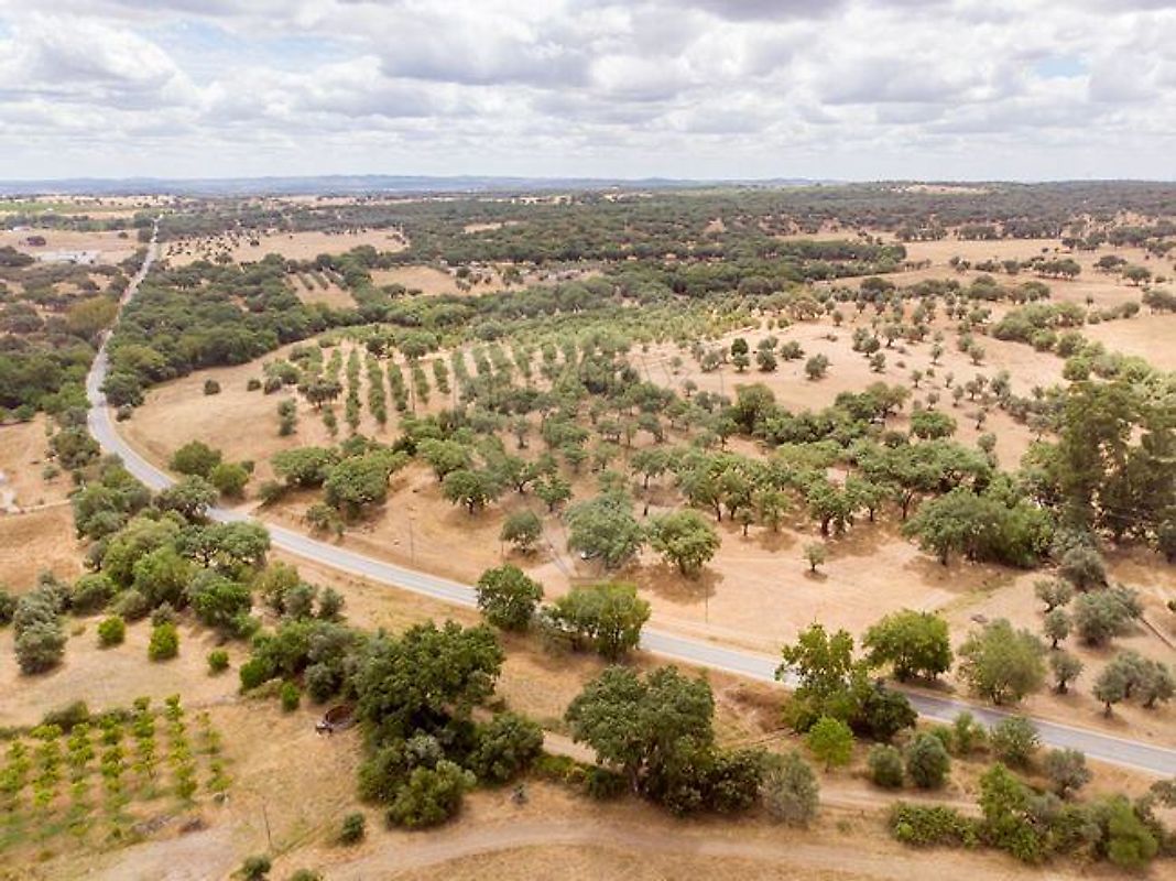Terreno em Viana do Alentejo