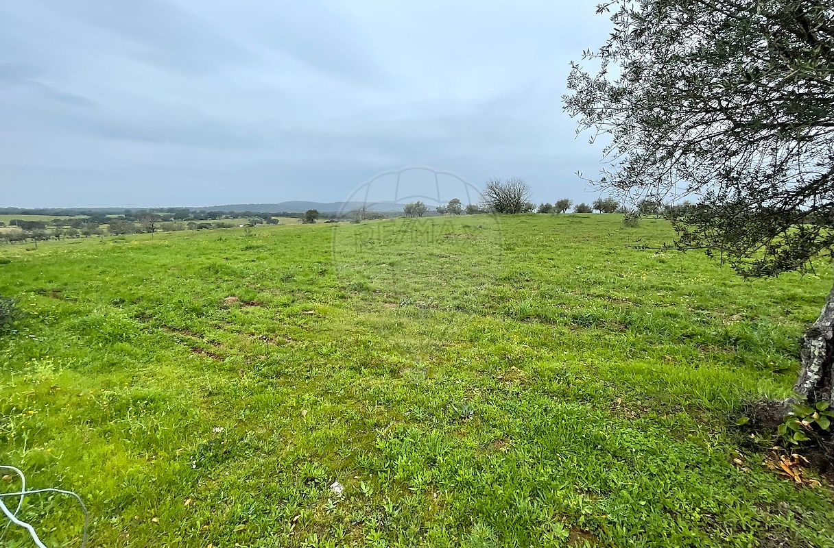 Terreno em Viana do Alentejo