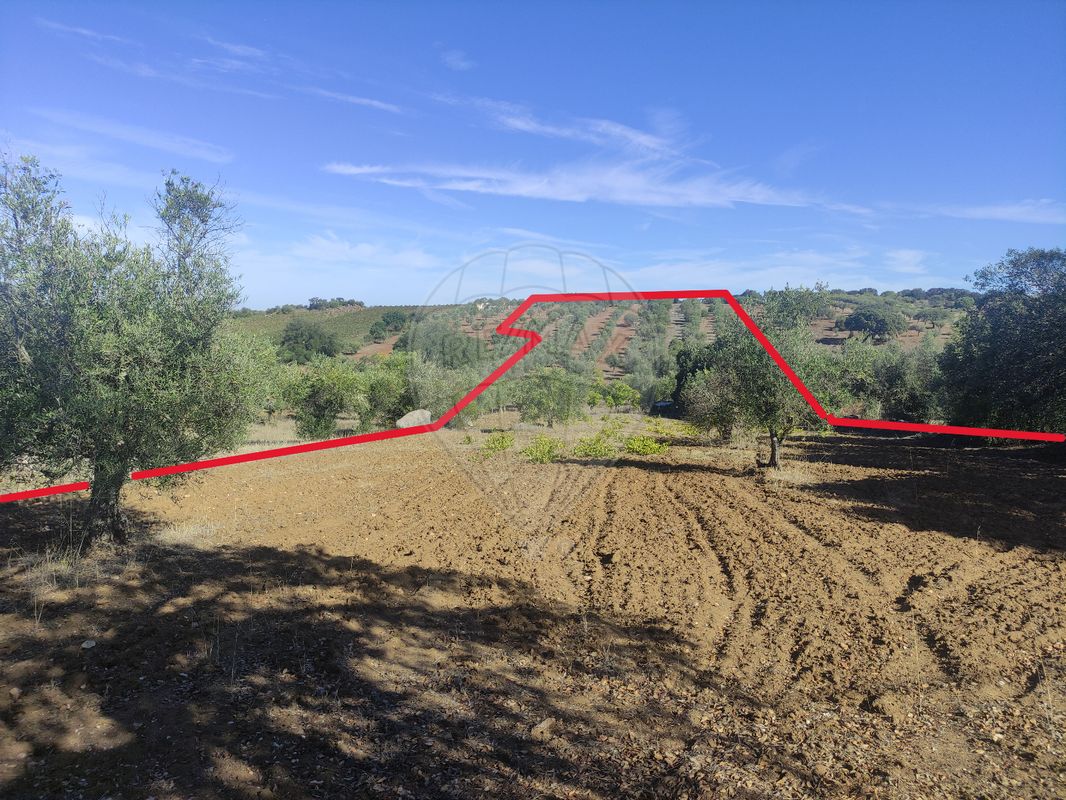 Terreno para venda