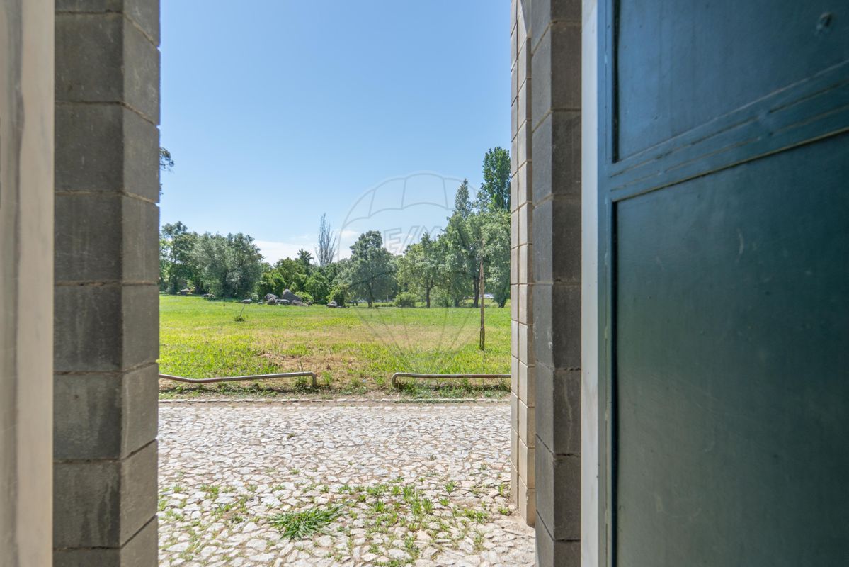 listing 120121142-239 picture-0