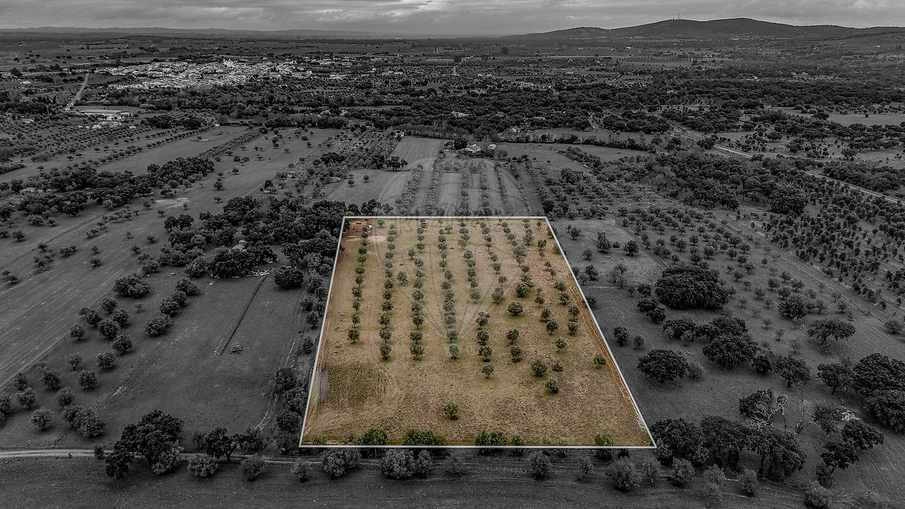 Terreno - Vila Nova da Baronia, Alvito, Beja