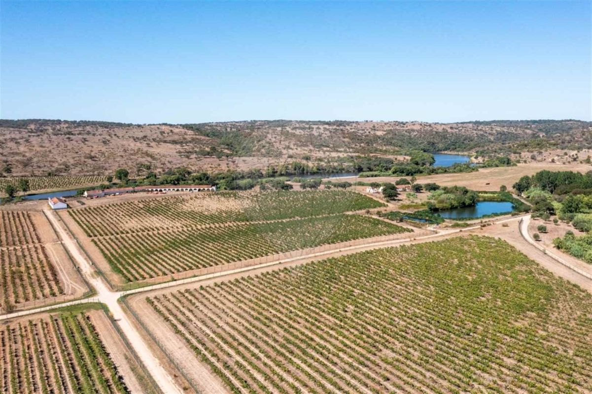Herdade para venda