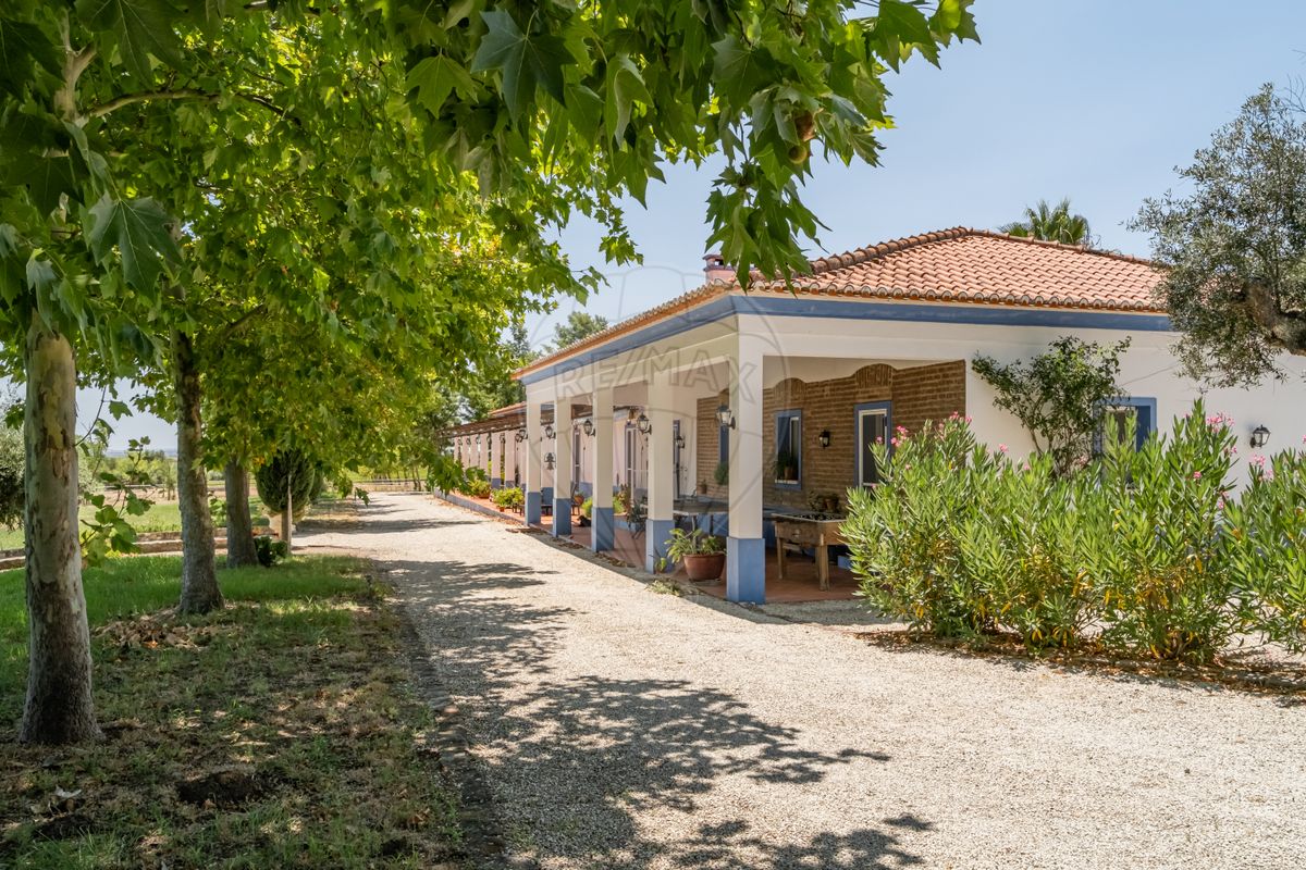 listing-picture-0
