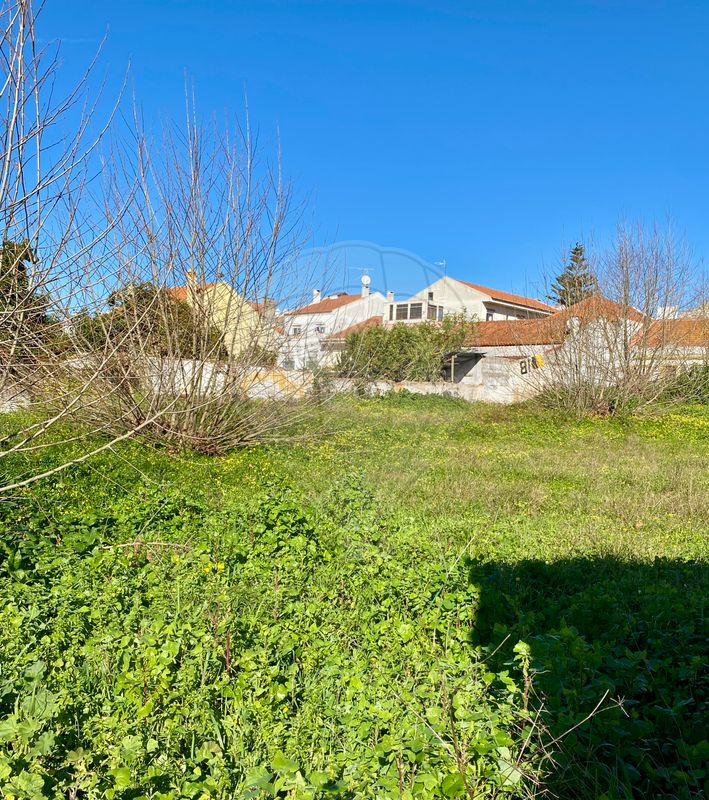 listing-picture-0