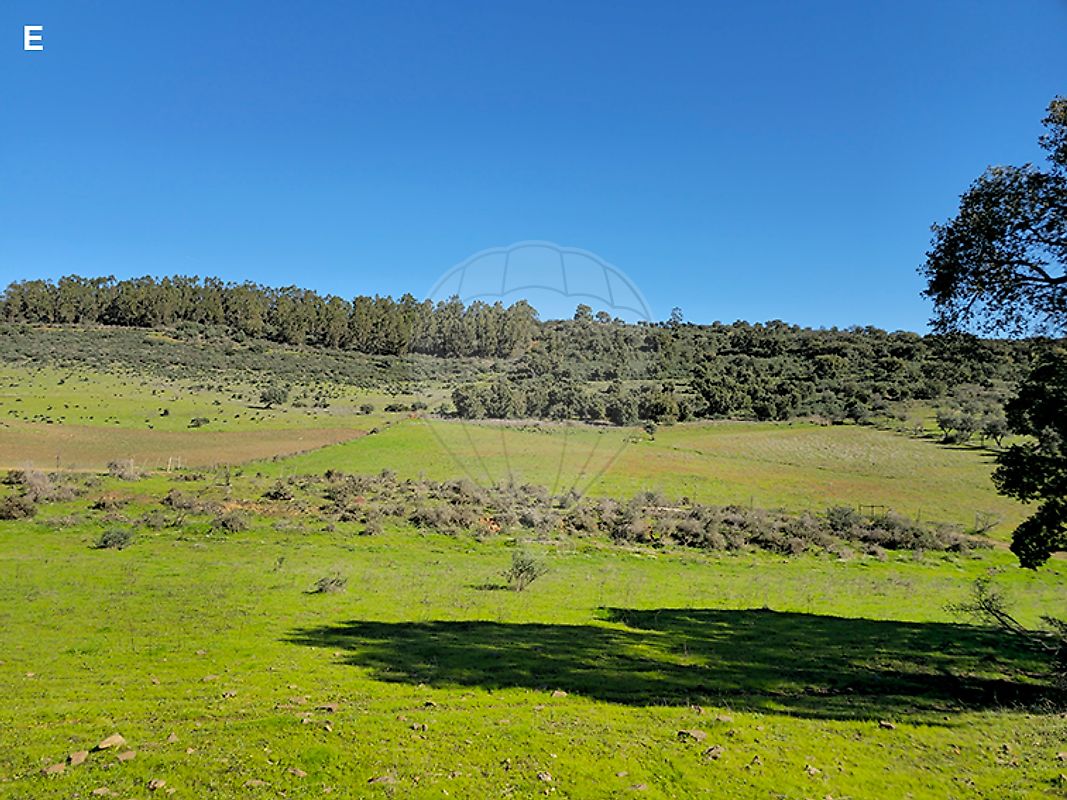 Terreno - Redondo, Redondo, Évora