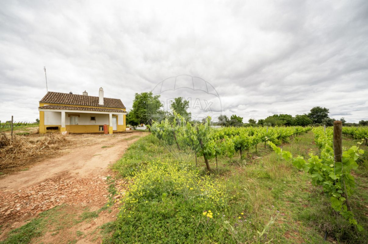 listing-picture-0