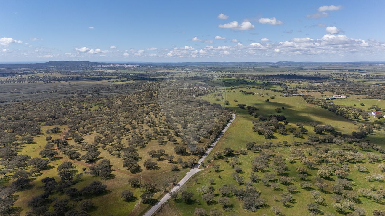 listing 120121213-64 picture-0