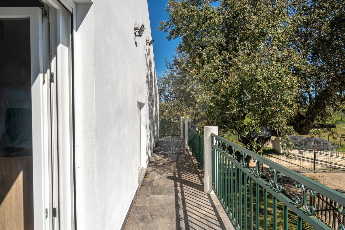 listing 120121213-64 picture-0