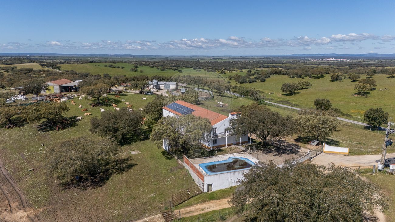 listing 120121213-64 picture-0