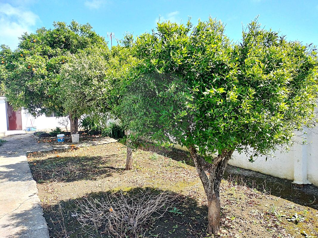 listing 120121243-38 picture-0