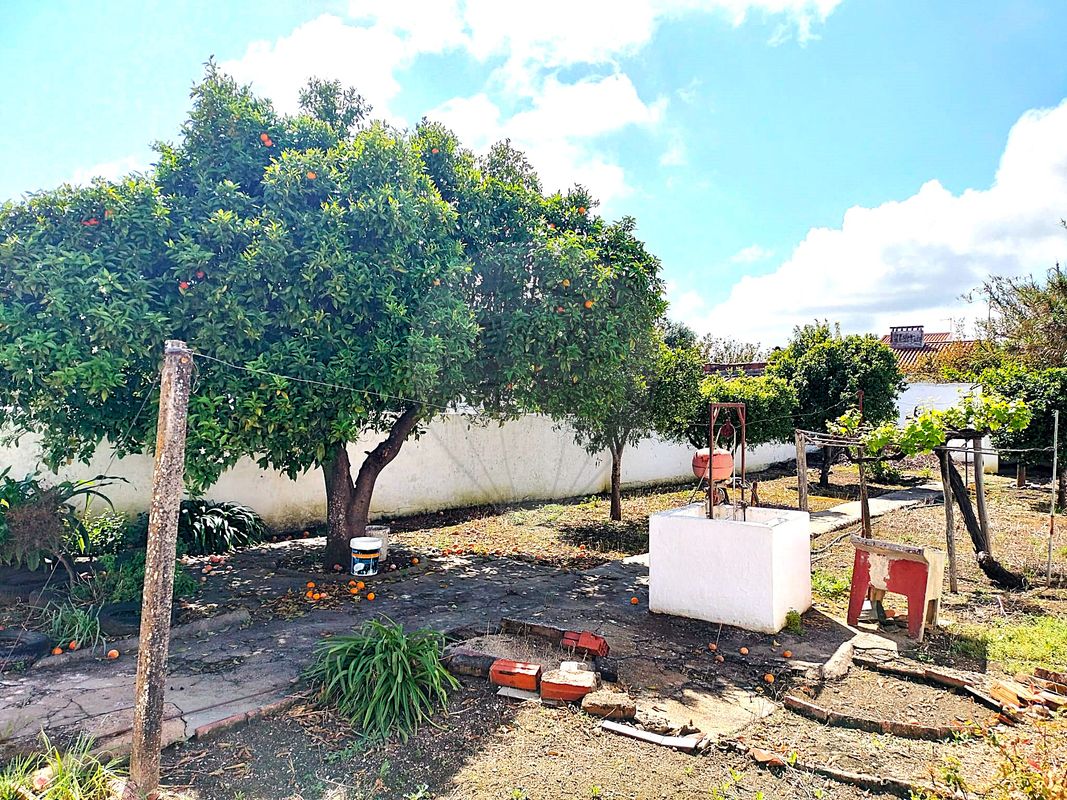 listing 120121243-38 picture-0