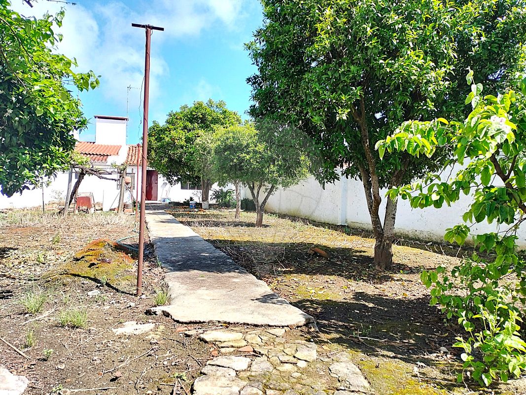 listing 120121243-38 picture-0