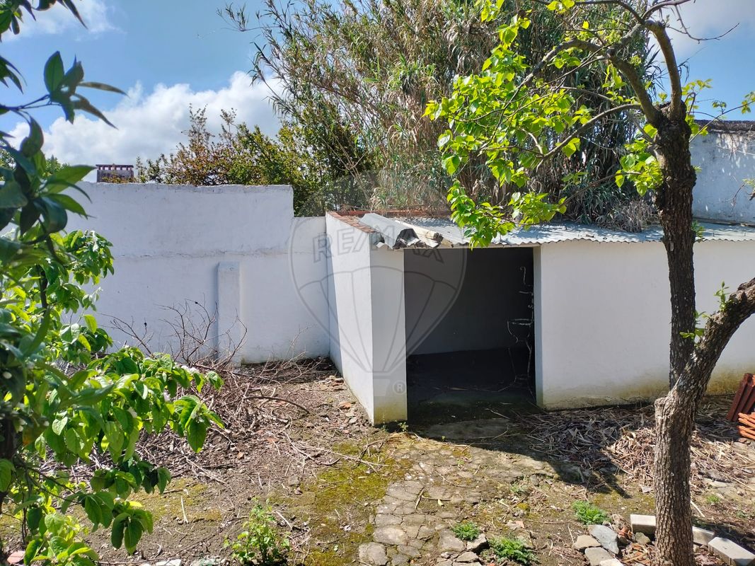 listing 120121243-38 picture-0