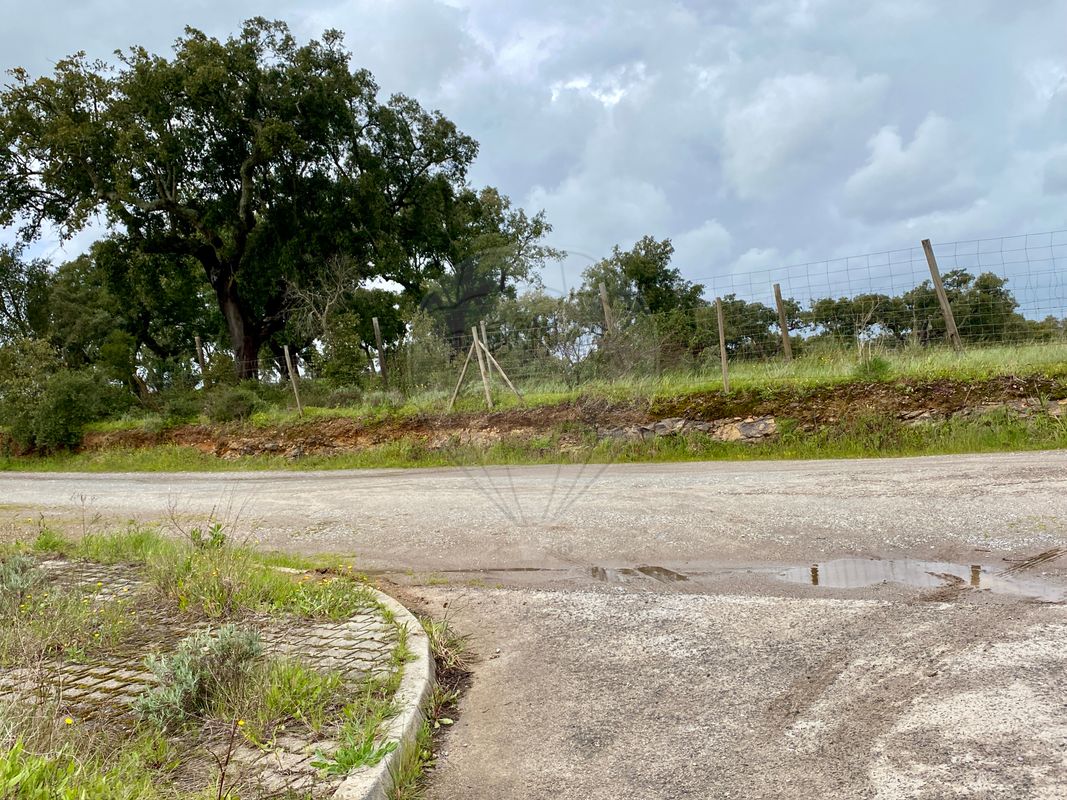 listing 120121291-11 picture-0