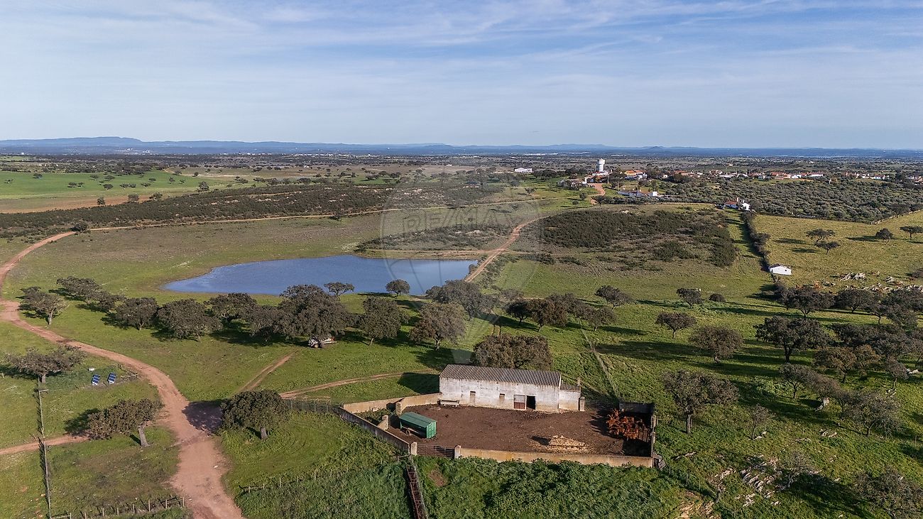 Herdade para venda