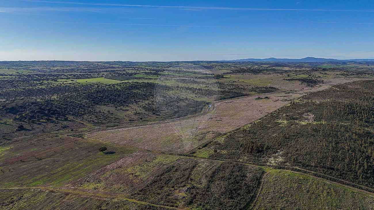 Herdade para venda