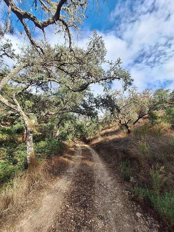 Quinta T3 para venda