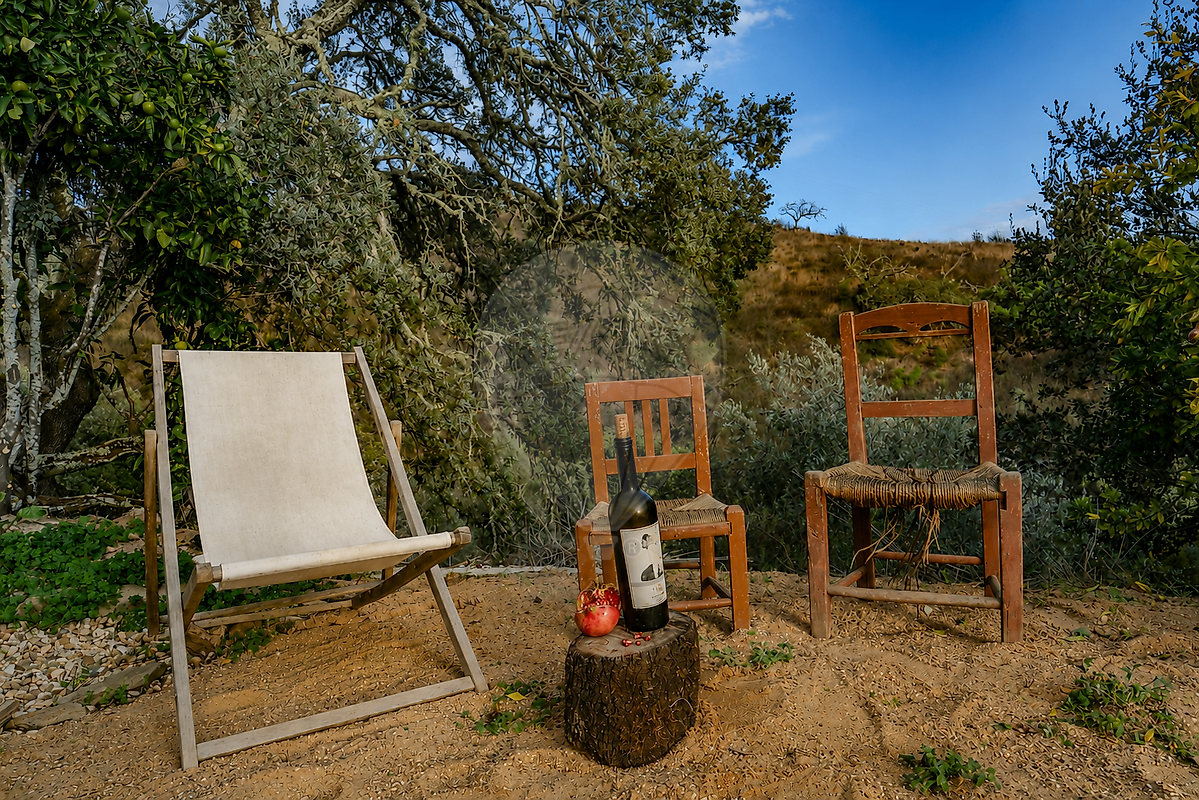 Quinta - São Martinho das Amoreiras, Odemira, Beja