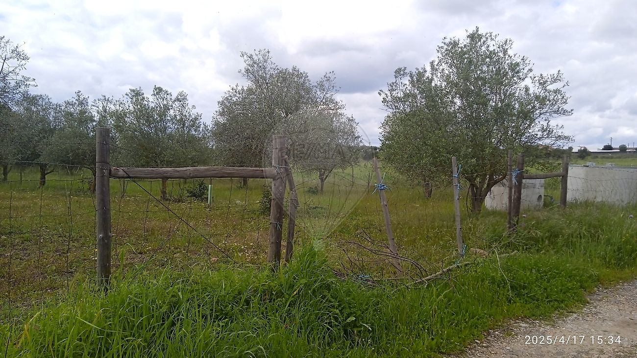 Terreno para venda