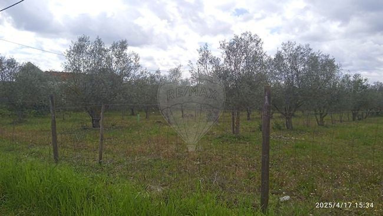 Terreno para venda