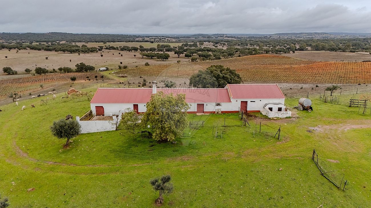Quinta - Montoito, Redondo, Évora