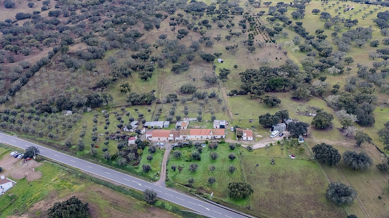 Quinta - Évora Monte (Santa Maria), Estremoz, Évora