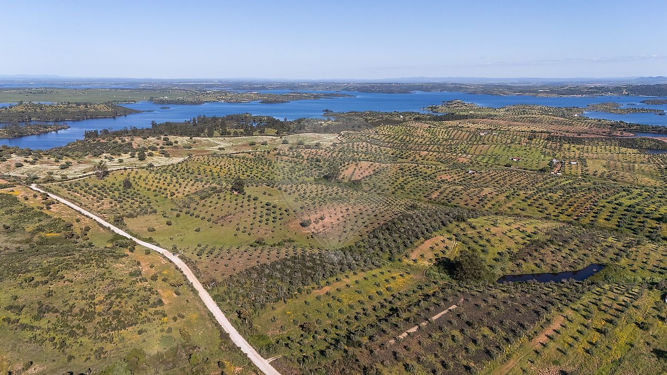 Terreno - Amieira e Alqueva, Portel, Évora
