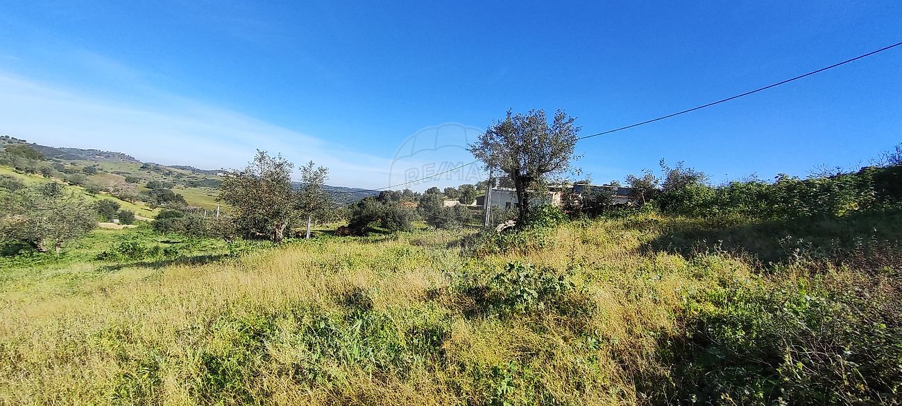 Terreno - Amieira e Alqueva, Portel, Évora