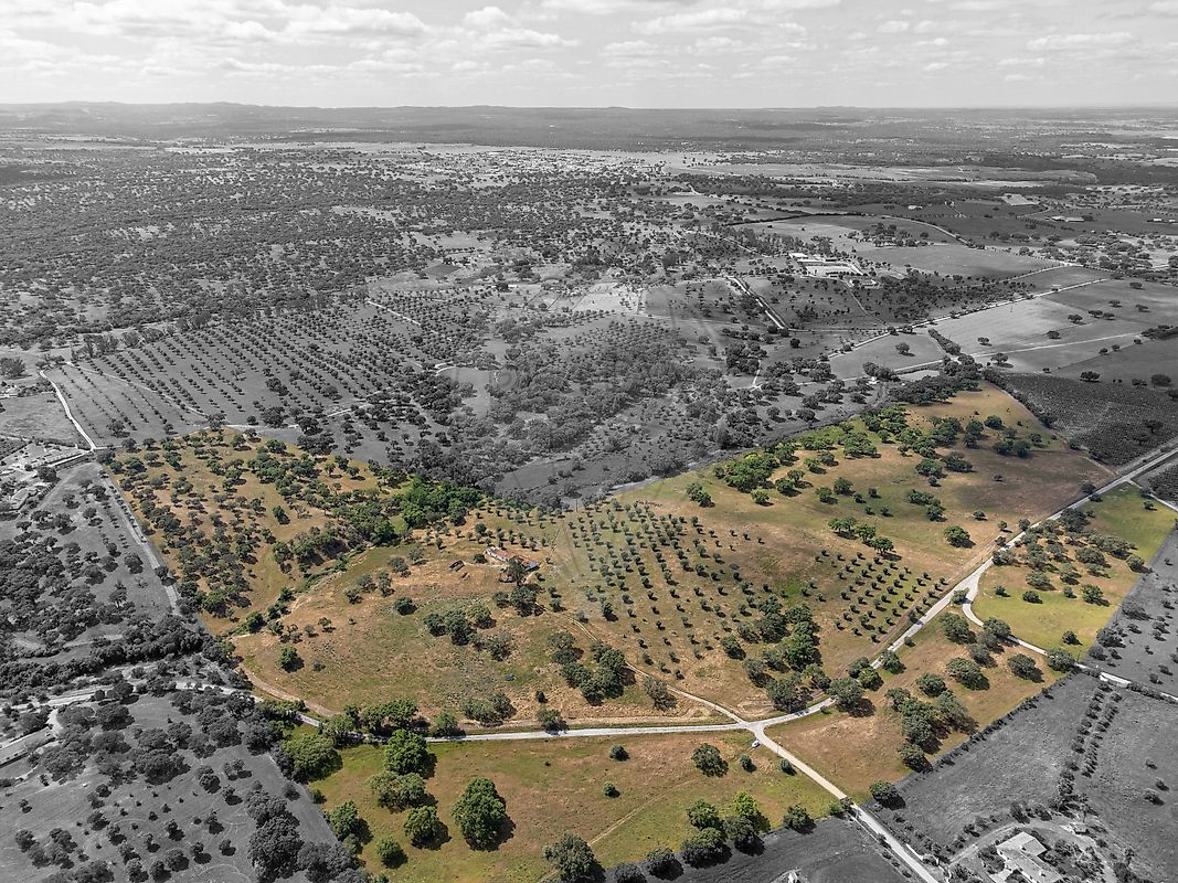 Quinta - Foros de Vale de Figueira, Montemor-o-Novo, Évora