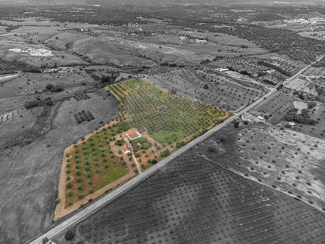 Quinta - Cortiçadas de Lavre e Lavre, Montemor-o-Novo, Évora