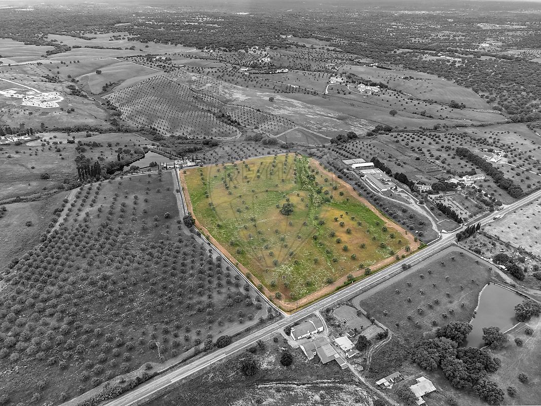 Terreno - Cortiçadas de Lavre e Lavre, Montemor-o-Novo, Évora