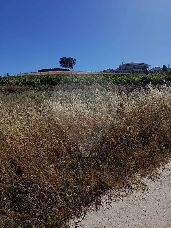 Terreno - Redondo, Redondo, Évora