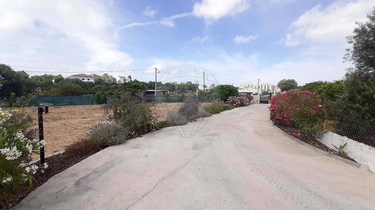 listing 120141071-738 picture-0