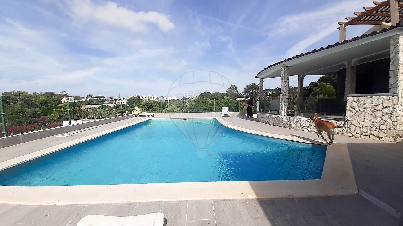 listing 120141071-738 picture-0