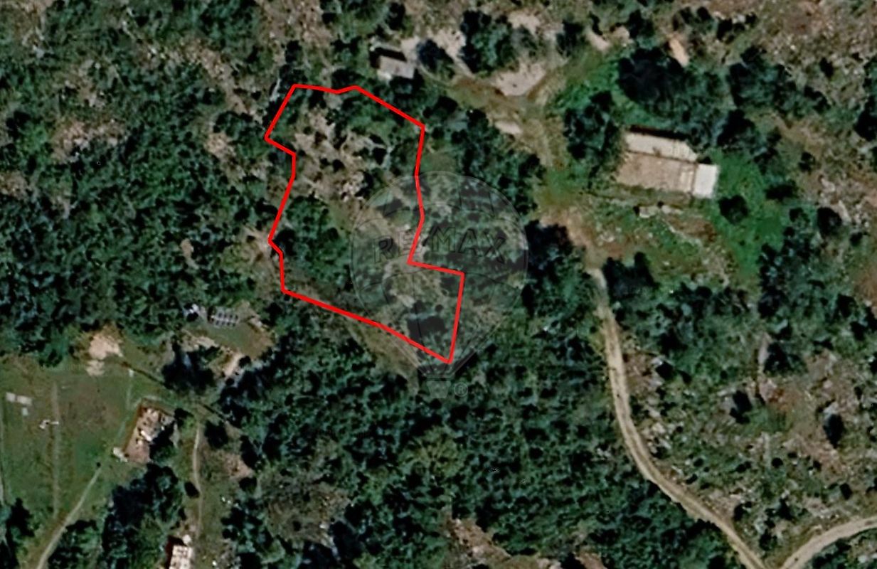 Terreno - São Clemente, Loulé, Faro