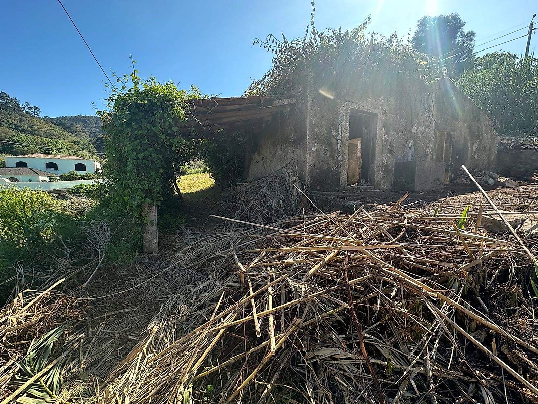 Moradia T0 à venda em Sintra (Santa Maria e São Miguel, São Martinho e São Pedro de Penaferrim), Sintra — foto 23